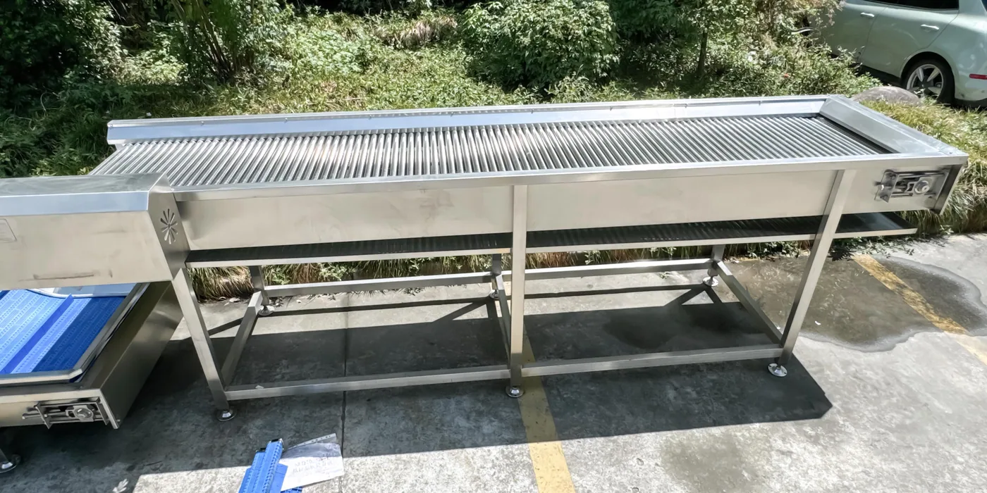 Stainless roller inspection conveyor for whole fruit