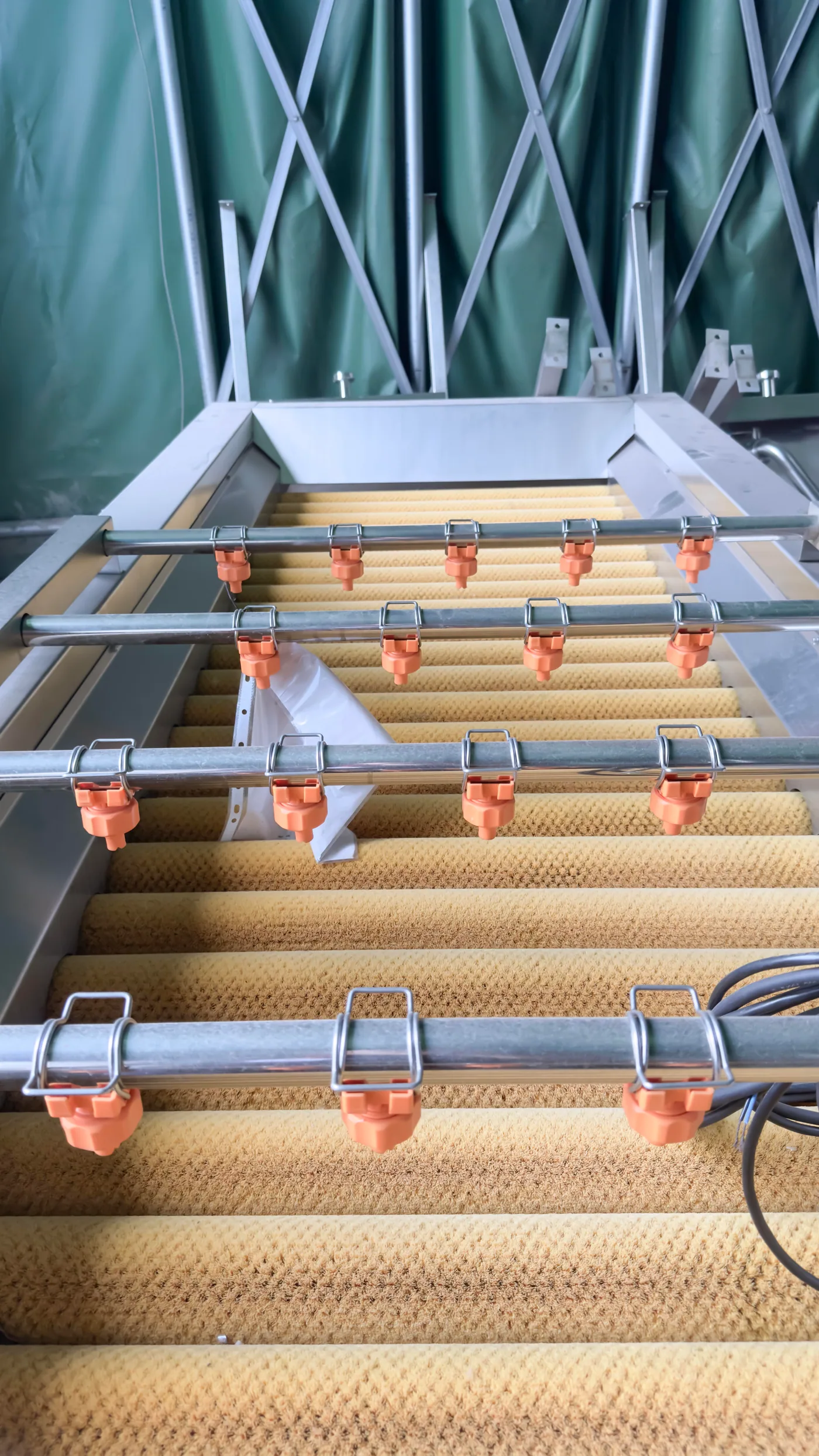 Brush rollers and spray nozzles inside a fruit washing machine