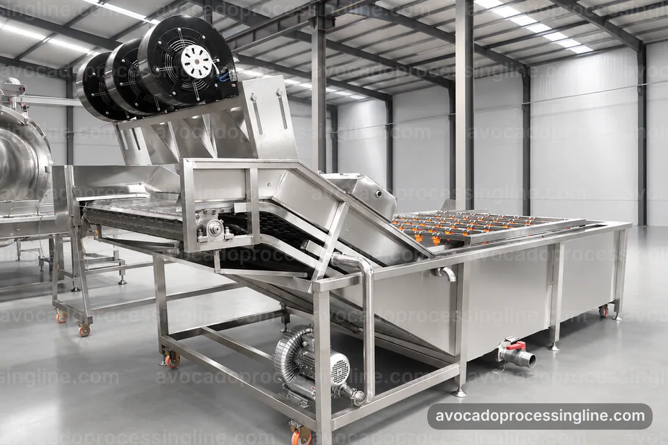 industrial avocado processing line, buying considerations: avocado destoner and peeler operating stage