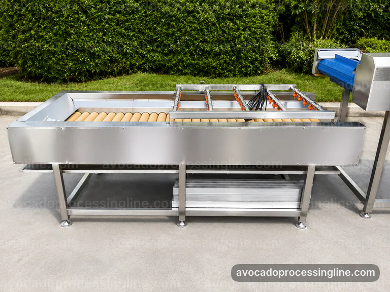 Industrial Avocado Processing Line: Process Sequence Interface industrial avocado processing line, process sequence: avocado destoner and peeler connection view