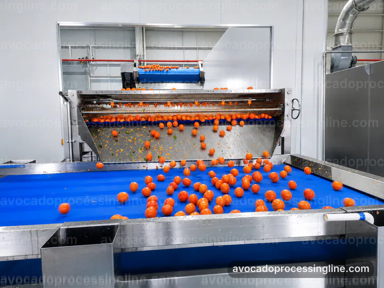 industrial avocado processing line, proposal requirements: avocado destoner and peeler connection view