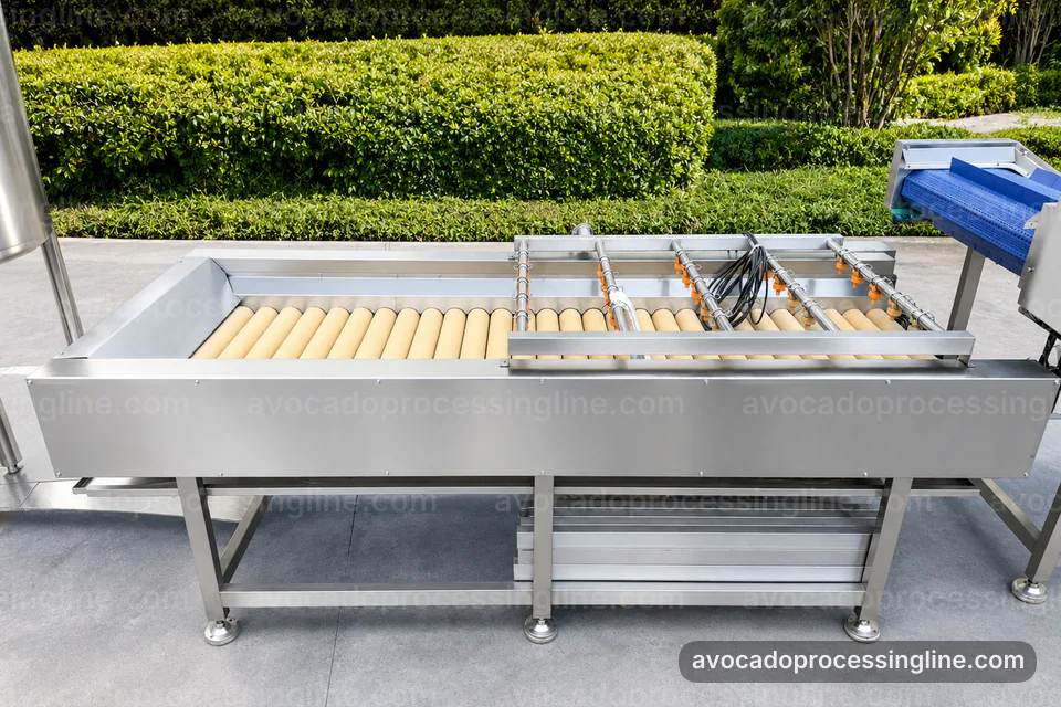 industrial avocado processing line, proposal requirements: flesh recovery with peel rejection section operating stage