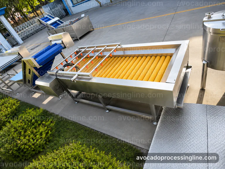 industrial avocado processing line, operating principle: flesh recovery with peel rejection section connection view